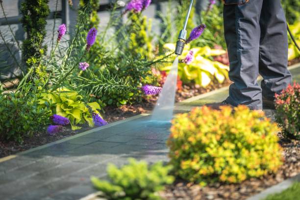 Best Spring Cleaning  in Modesto, CA